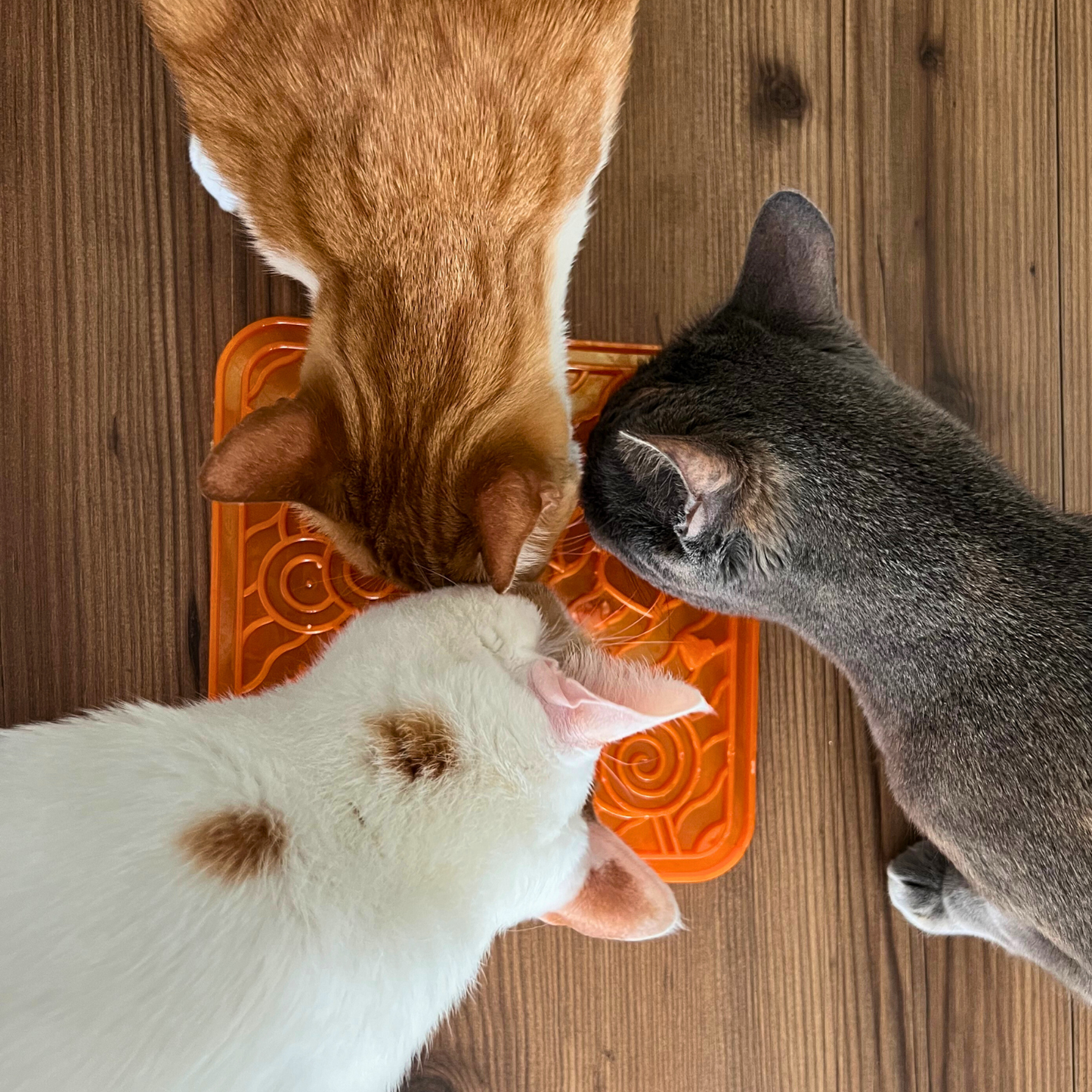 WufWuf & MyMeow TreatMate: An Eco-Friendly Treat Mat for Pets