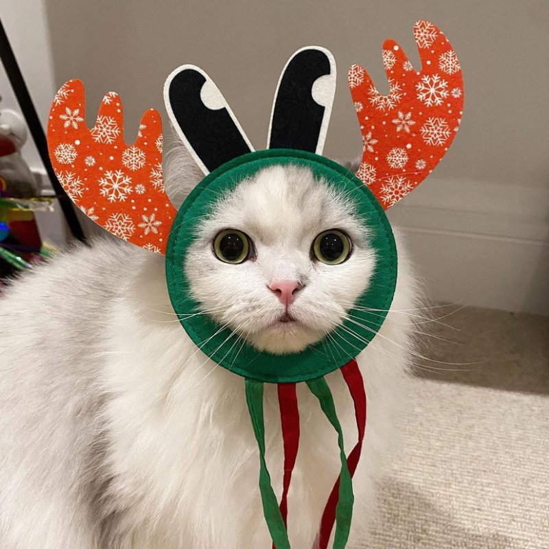 MyMeow - Rudolph Door Hanger
