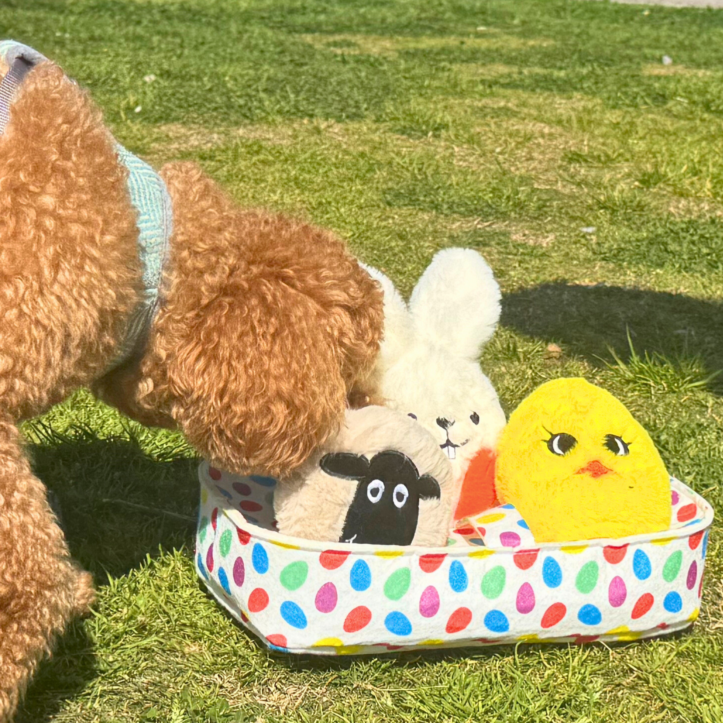 WufWuf Spring Basket: Lamb, Bunny & Chick Hide and Seek Dog Toy Set with Plush, Squeaky, Crinkle Features