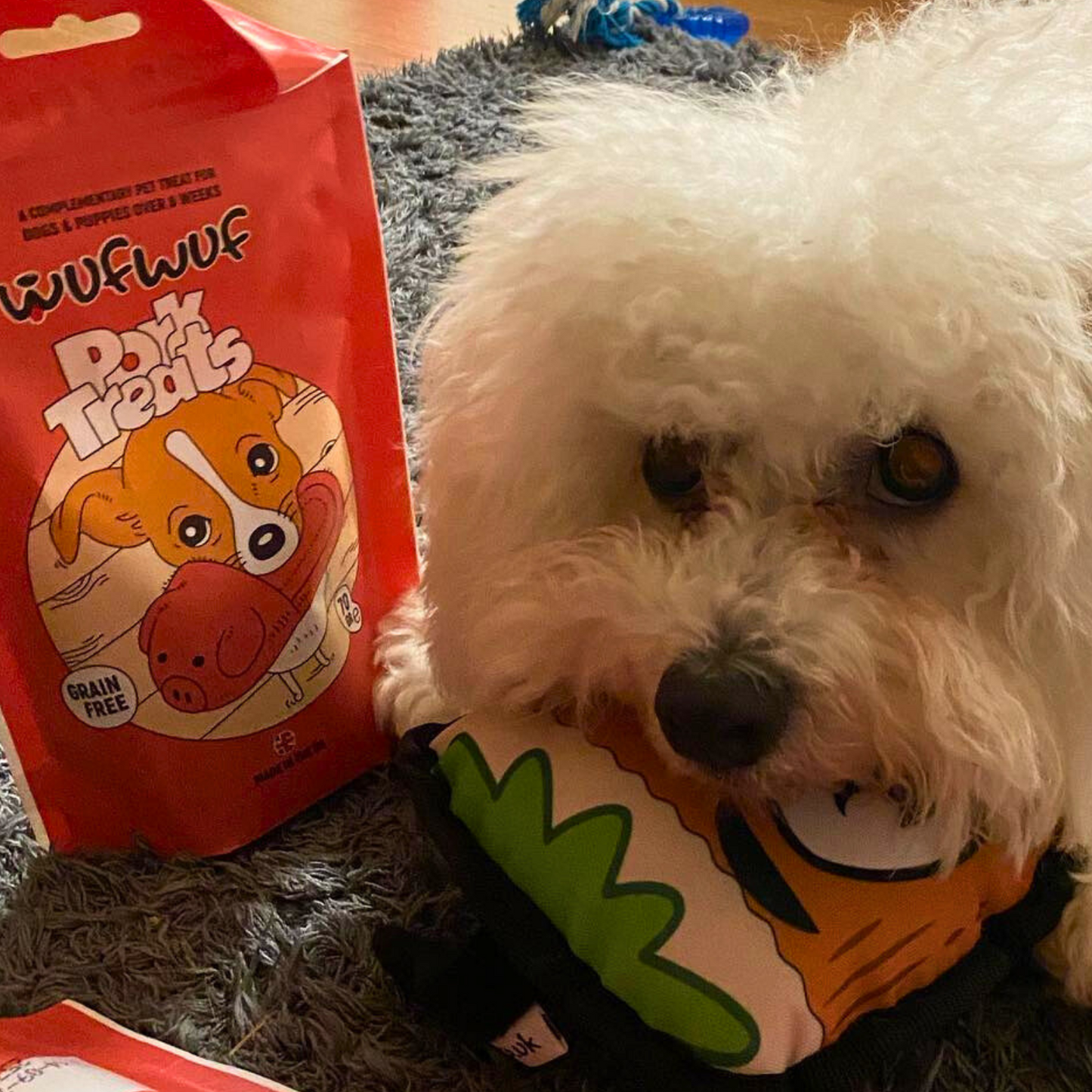 WufWuf Go Nuts Squeaky Plush Toy