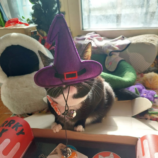 MyMeow Witch Hat Doorknob Hanger with Bell