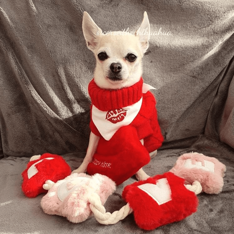 WufWuf - Love Rope Toy - Large