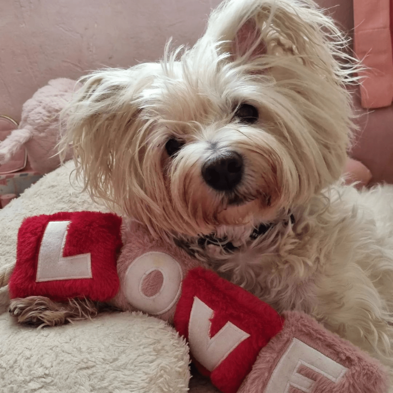 WufWuf - Love Rope Toy - Large
