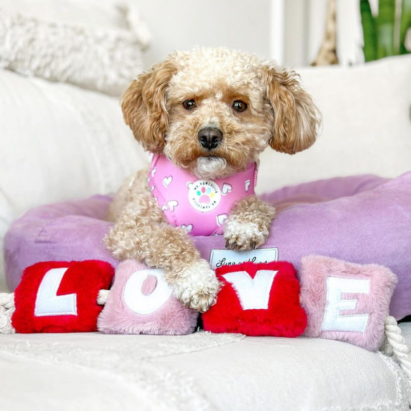 WufWuf - Love Rope Toy - Large
