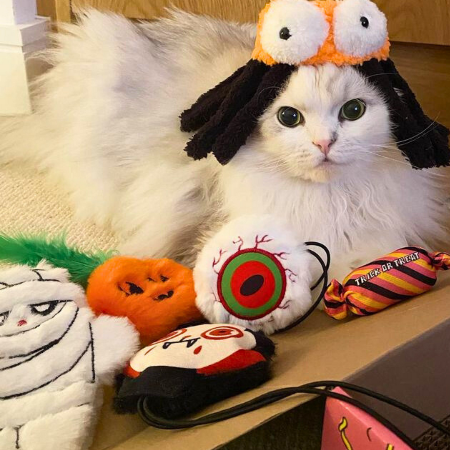 MyMeow Eye Am Scared Cat Finger Teaser Toy