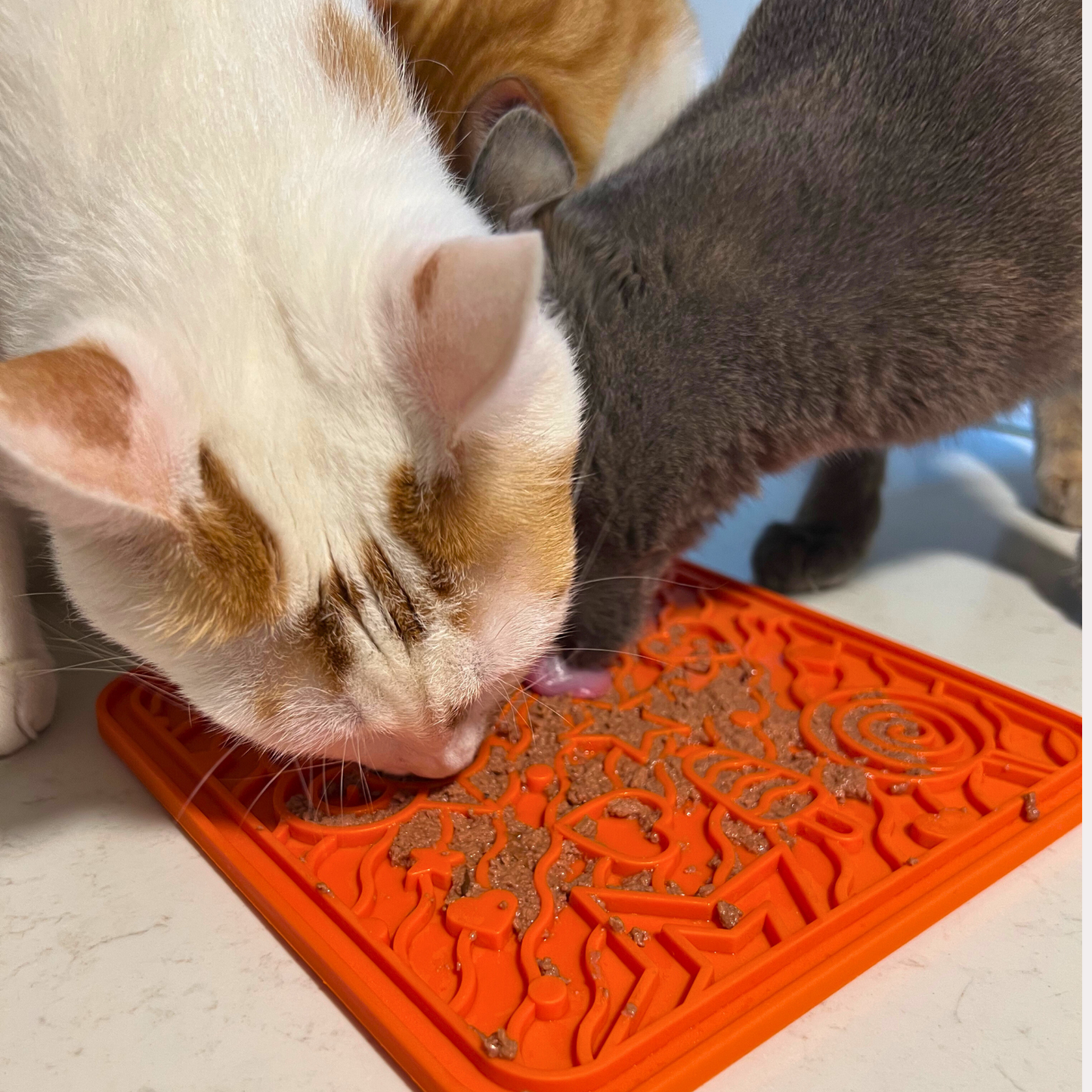 WufWuf & MyMeow TreatMate: An Eco-Friendly Treat Mat for Pets