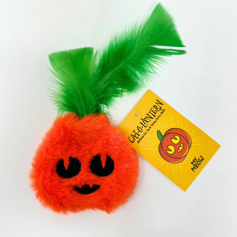 MyMeow - Pumpkin Refillable Cat Toy