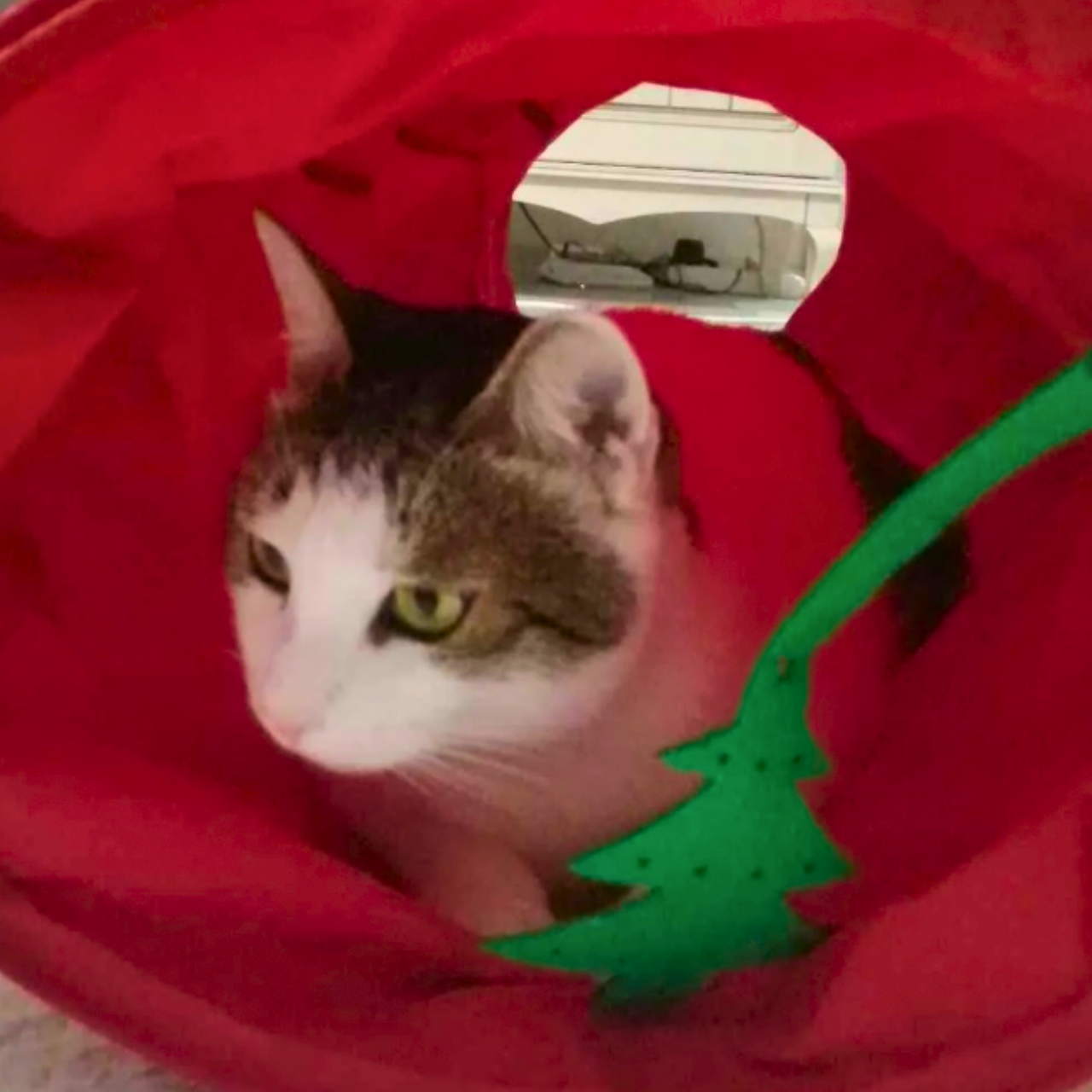 MyMeow Interactive Strengthened Red Long Tunnel 125cm