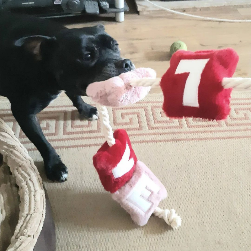 WufWuf - Love Rope Toy - Large