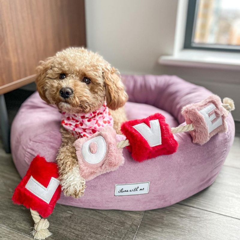 WufWuf - Love Rope Toy - Large