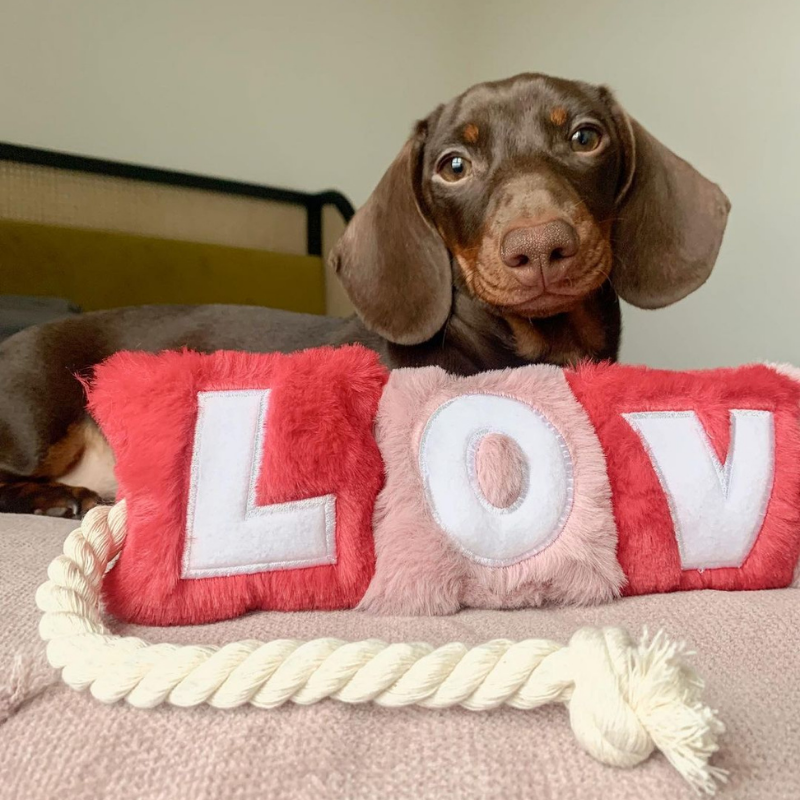 WufWuf - Love Rope Toy - Large