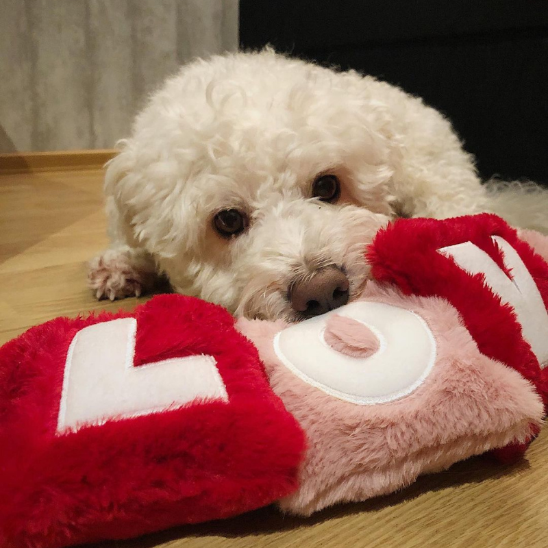 WufWuf - Love Rope Toy - Large