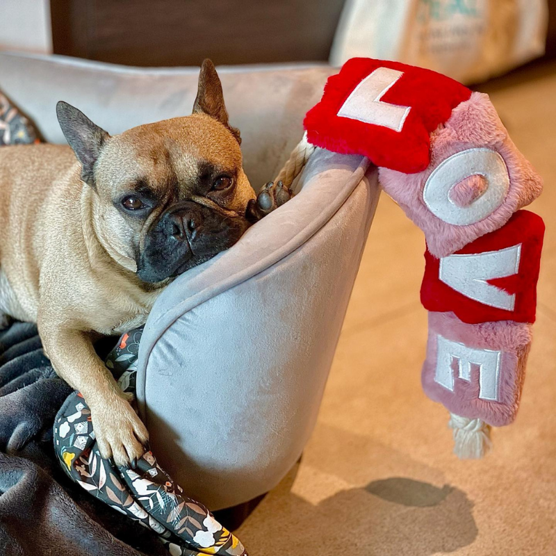 WufWuf - Love Rope Toy - Large