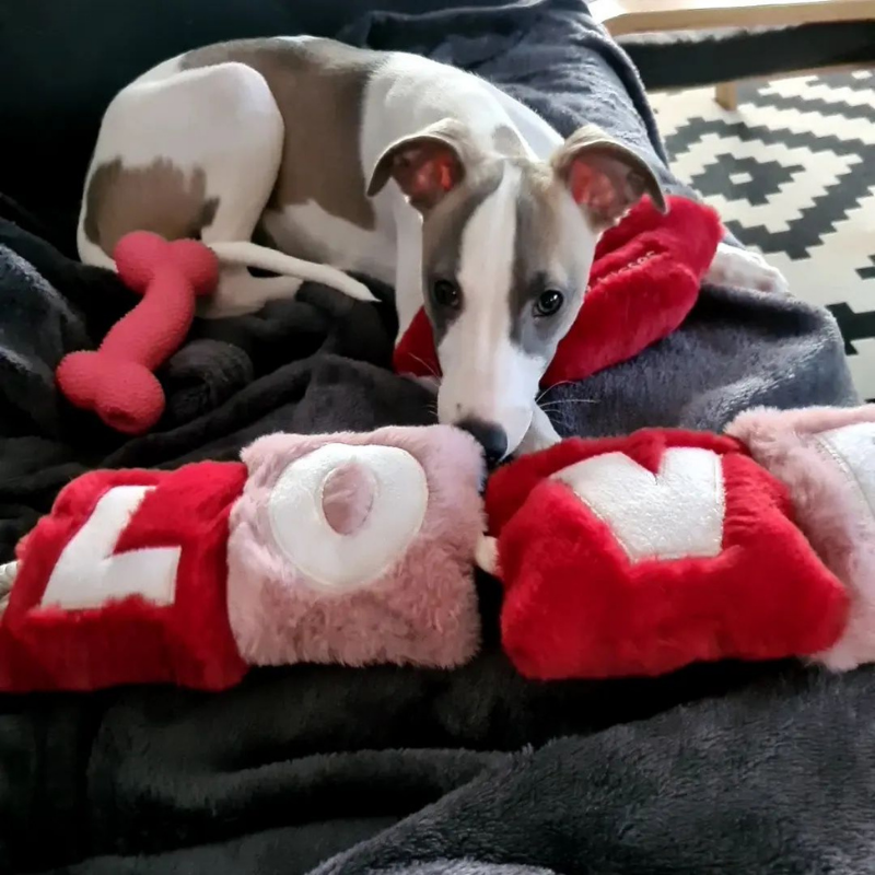 WufWuf - Love Rope Toy - Small