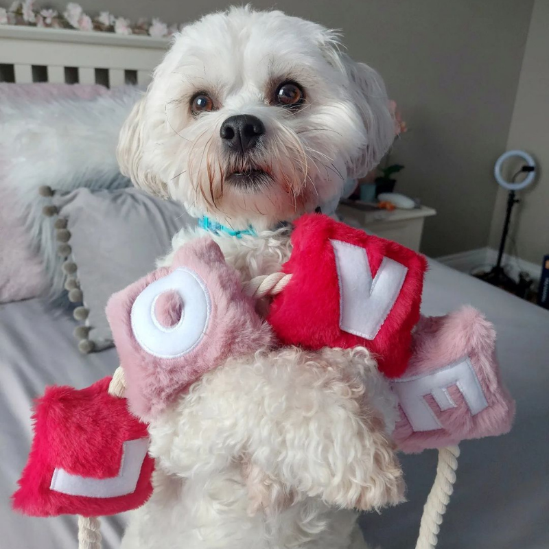 WufWuf - Love Rope Toy - Large