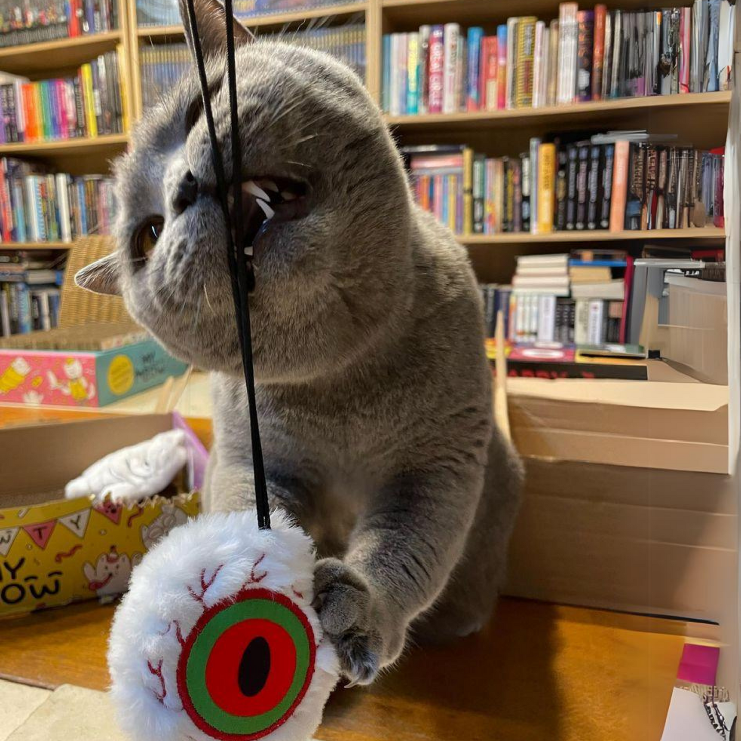 MyMeow Eye Am Scared Cat Finger Teaser Toy
