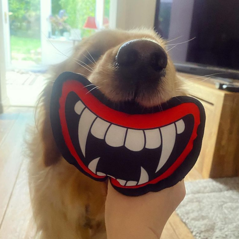 WufWuf Halloween Theme Vampire Fangs Plush Chew Toy
