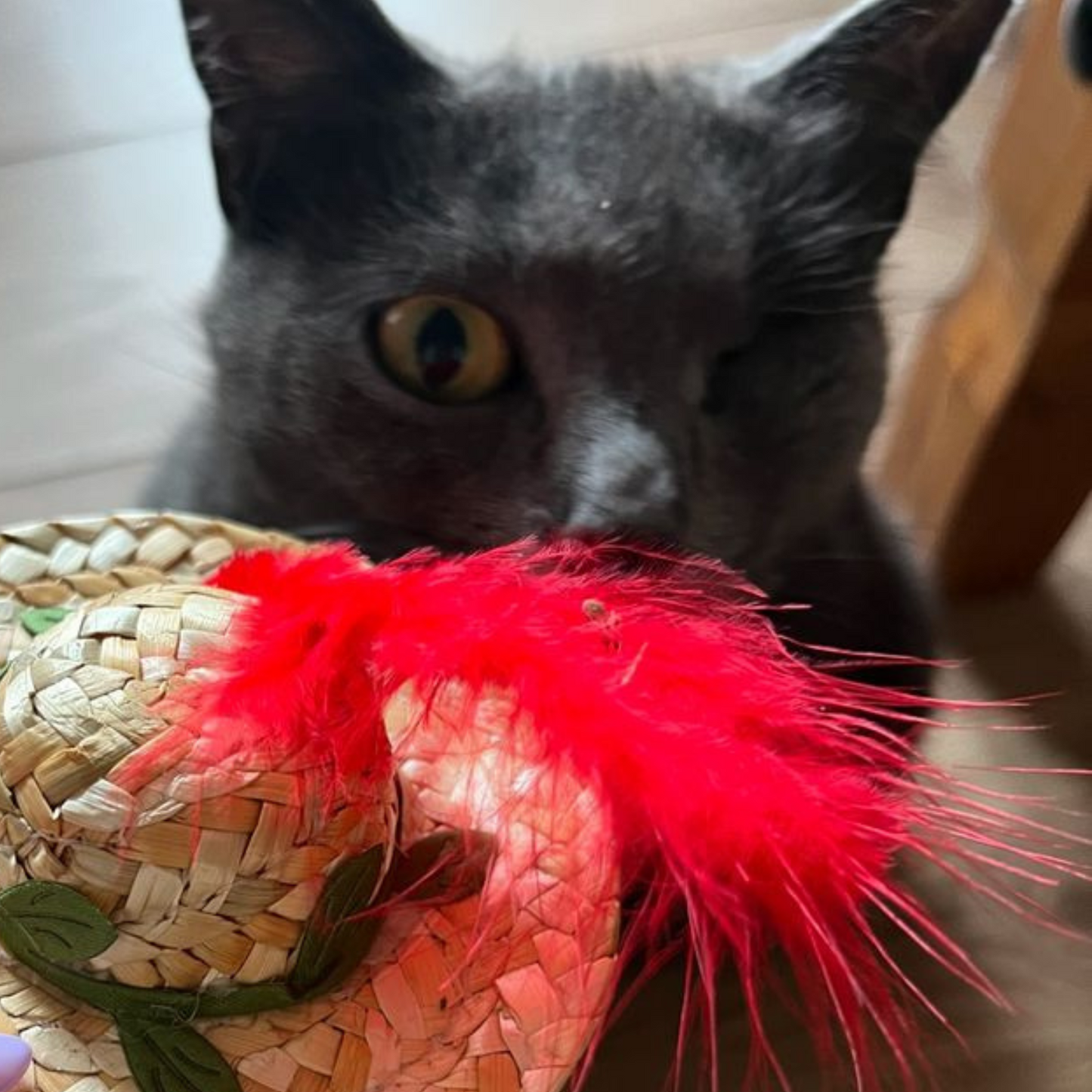 World of Pets Straw Hat Cat Toy with Catnip