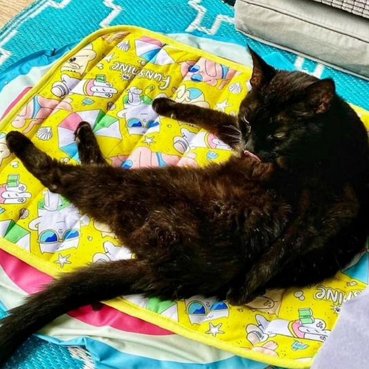 MyMeow Funshine Cool Cat Mat, Cooling Pet Mat