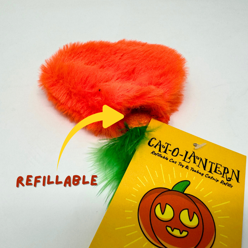 MyMeow - Pumpkin Refillable Cat Toy