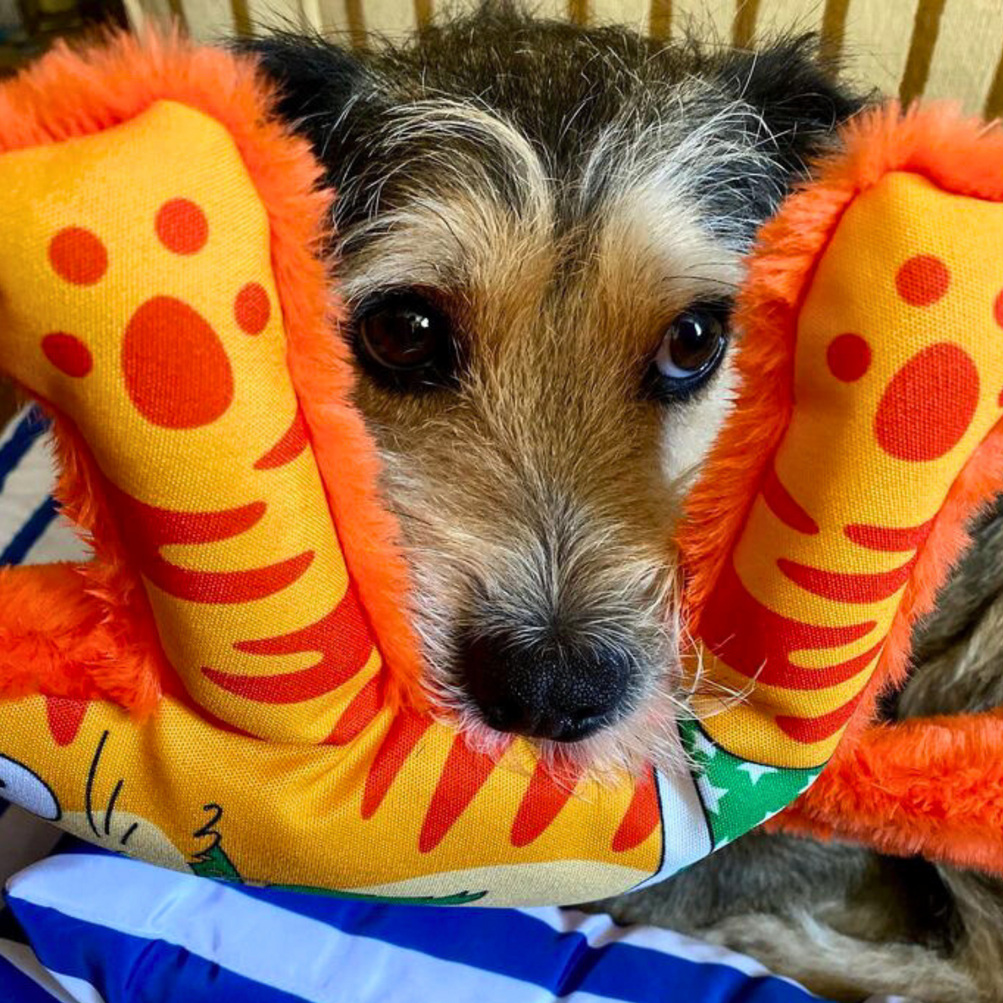WufWuf Catto Squeaky Plush Dog Toy