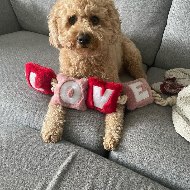 WufWuf - Love Rope Toy - Large
