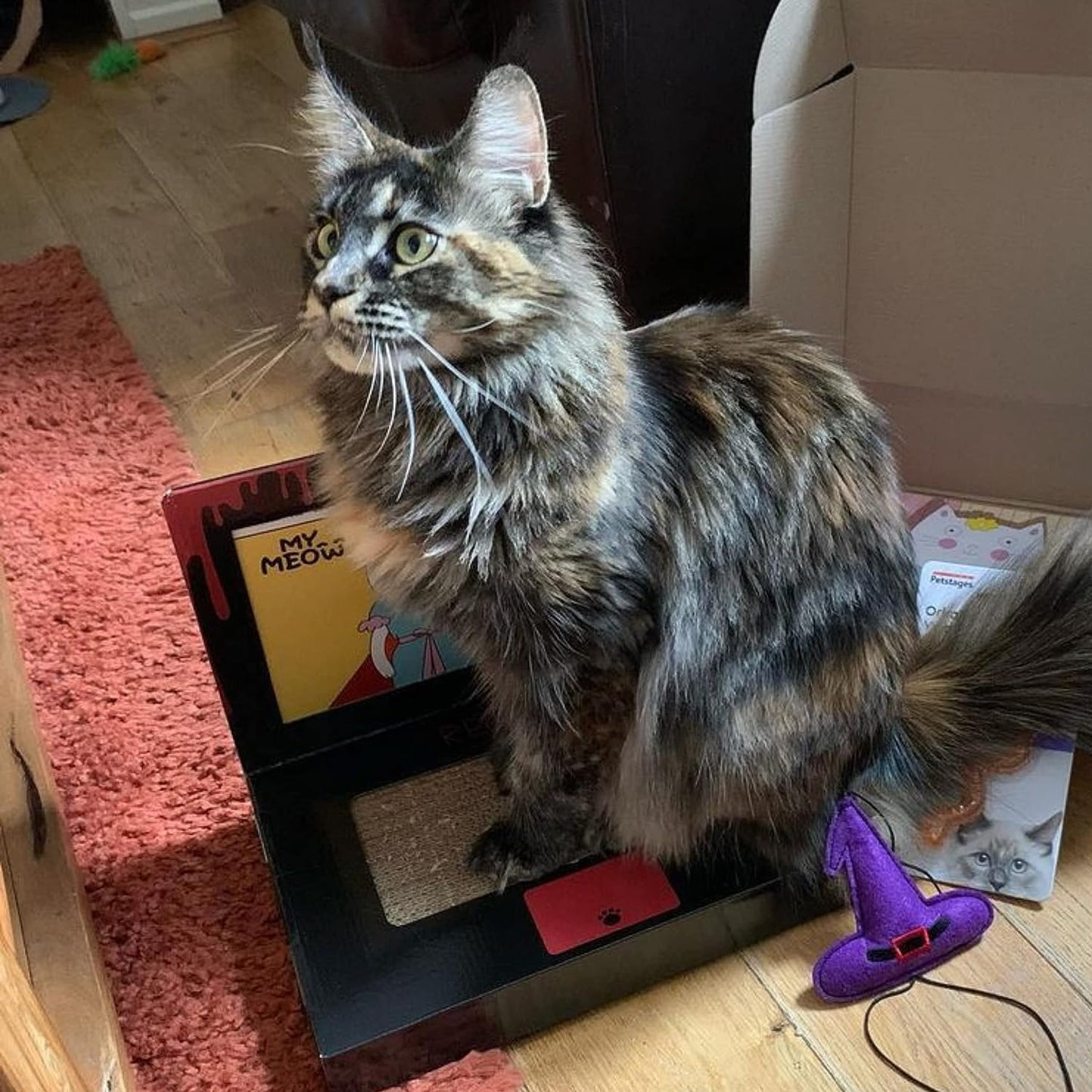 MyMeow - Laptop Scratcher