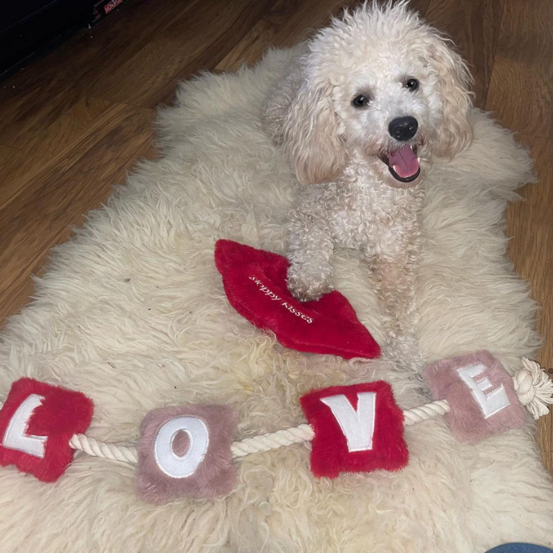 WufWuf - Love Rope Toy - Large