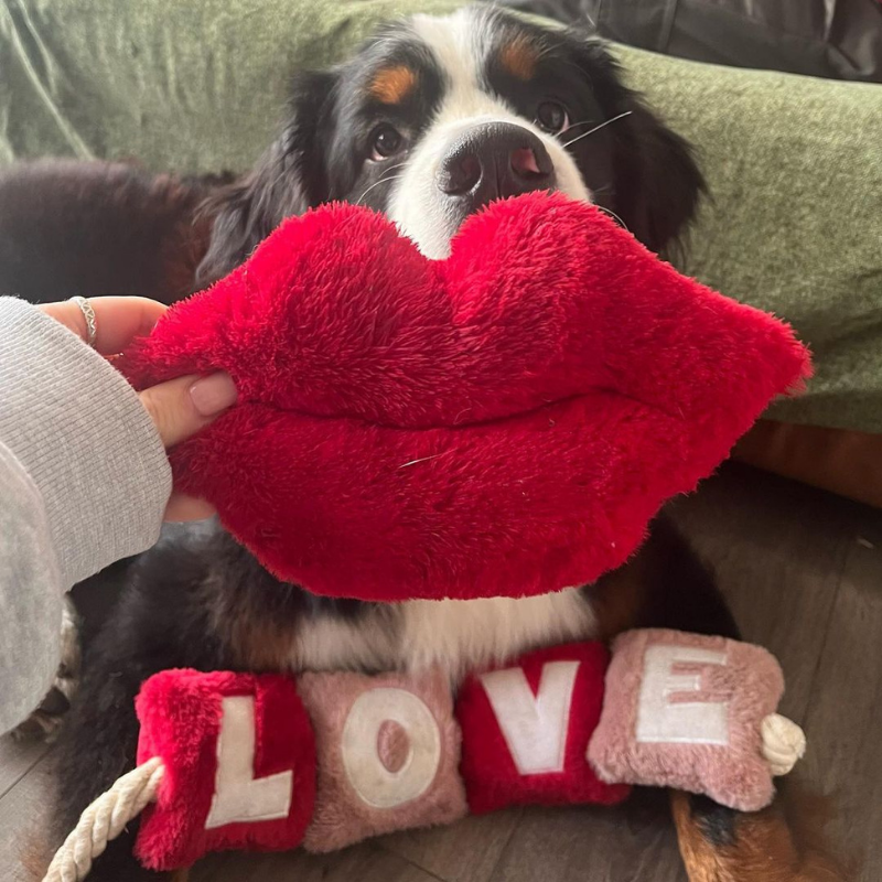 WufWuf - Love Rope Toy - Large