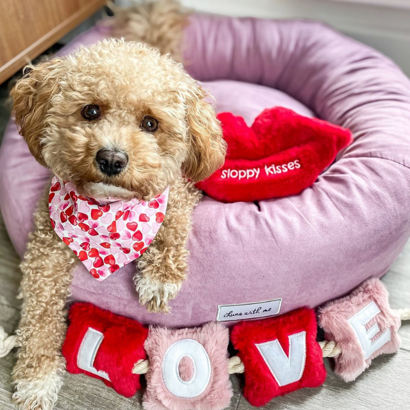 WufWuf - Love Rope Toy - Large