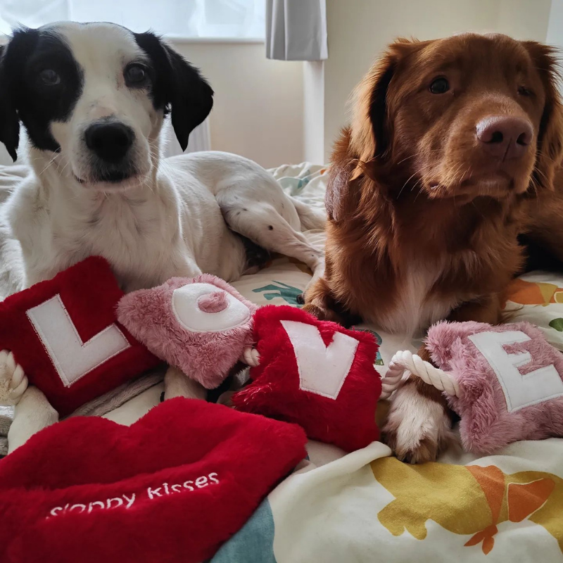 WufWuf - Love Rope Toy - Large