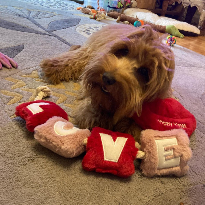 WufWuf - Love Rope Toy - Small