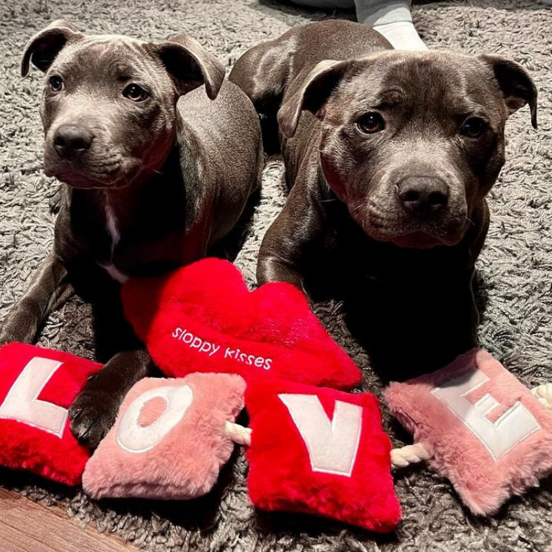 WufWuf - Love Rope Toy - Large