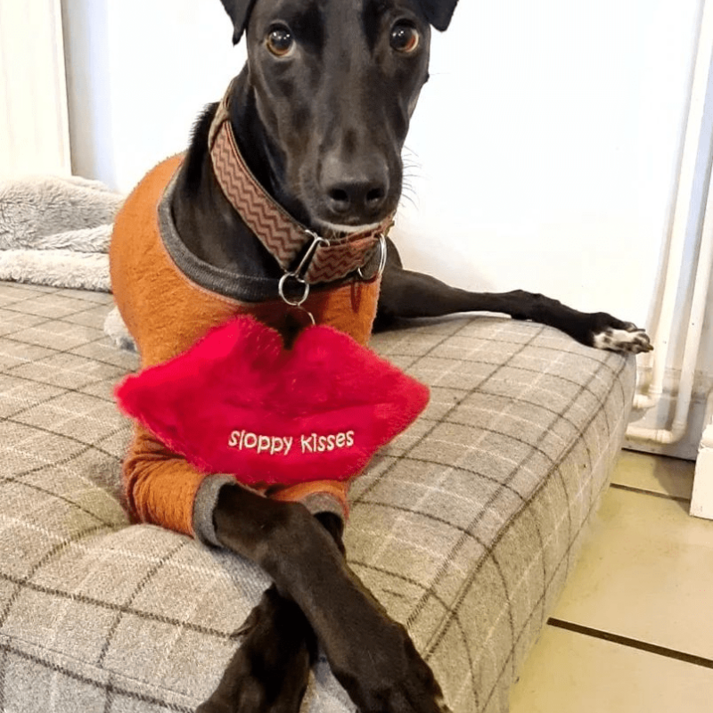 WufWuf - Sloppy Kisses Plush Toy