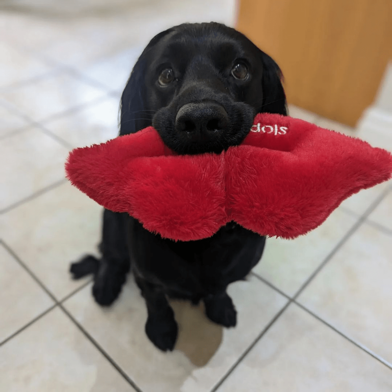 WufWuf - Sloppy Kisses Plush Toy