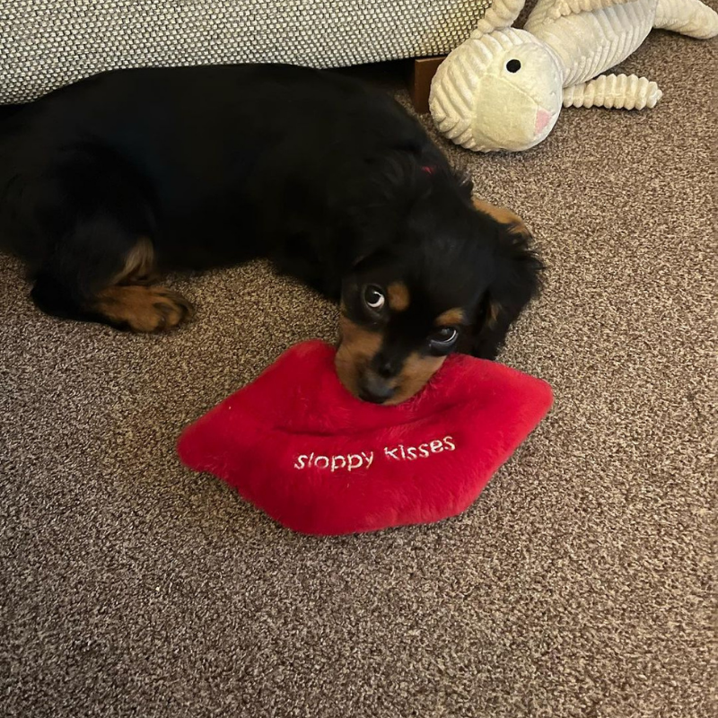 WufWuf - Sloppy Kisses Plush Toy