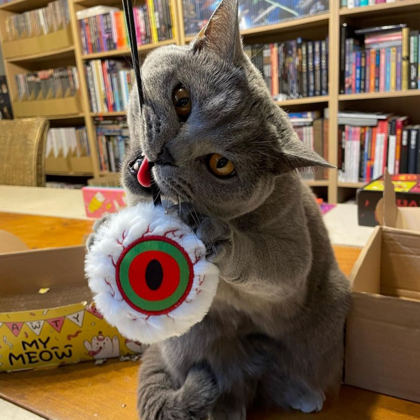 MyMeow Eye Am Scared Cat Finger Teaser Toy