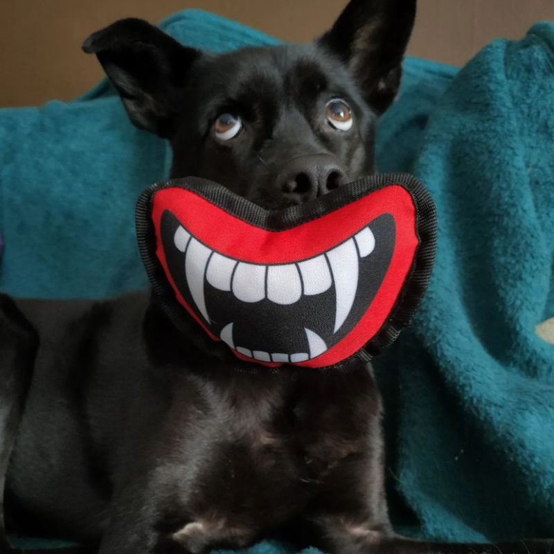 WufWuf Halloween Theme Vampire Fangs Plush Chew Toy