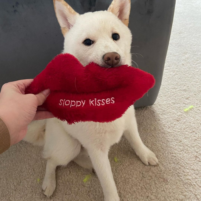 WufWuf - Sloppy Kisses Plush Toy