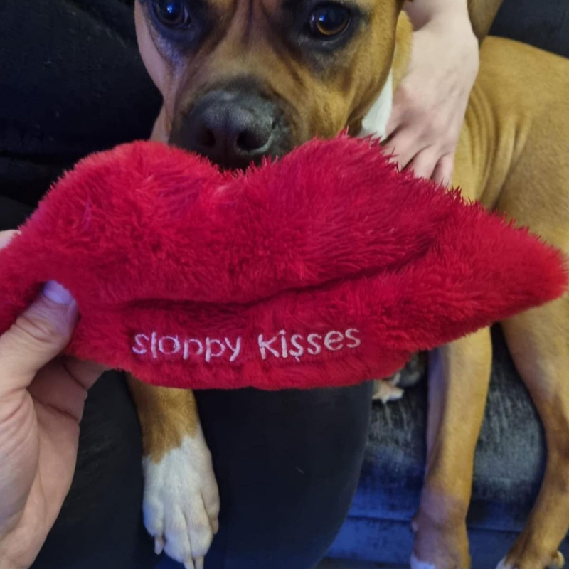 WufWuf - Sloppy Kisses Plush Toy