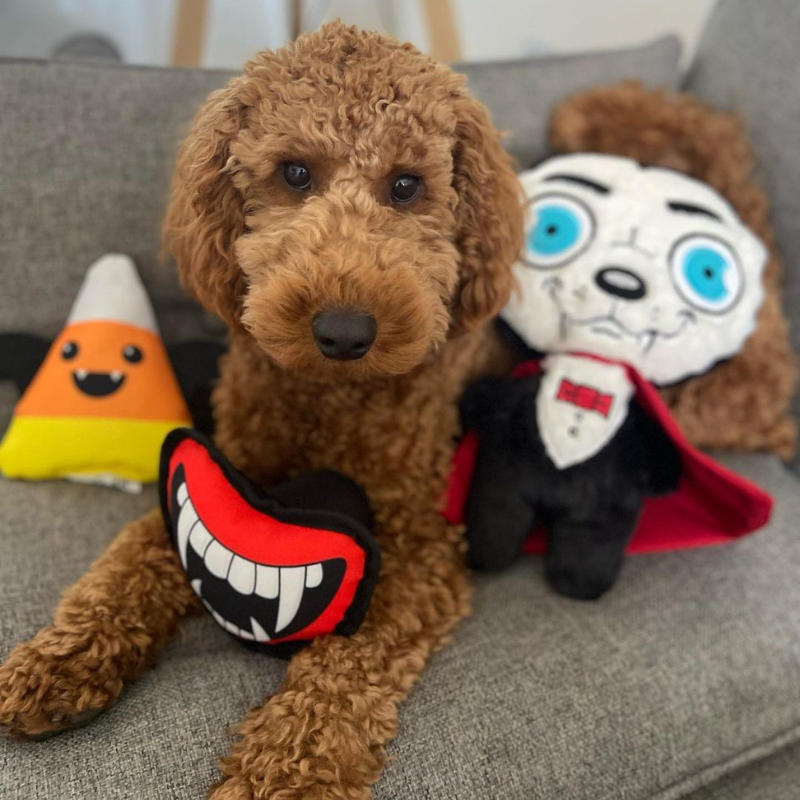 WufWuf - Vampy Candy Plush Toy