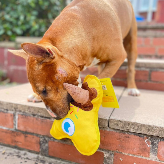 WufWuf Scoopy Boo Melting Ice Cream Squeaky Plush Toy, Small/Medium