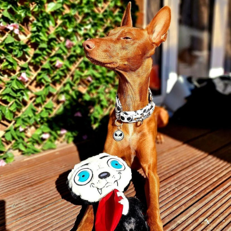 WufWuf - Dogcula Plush Toy - Large