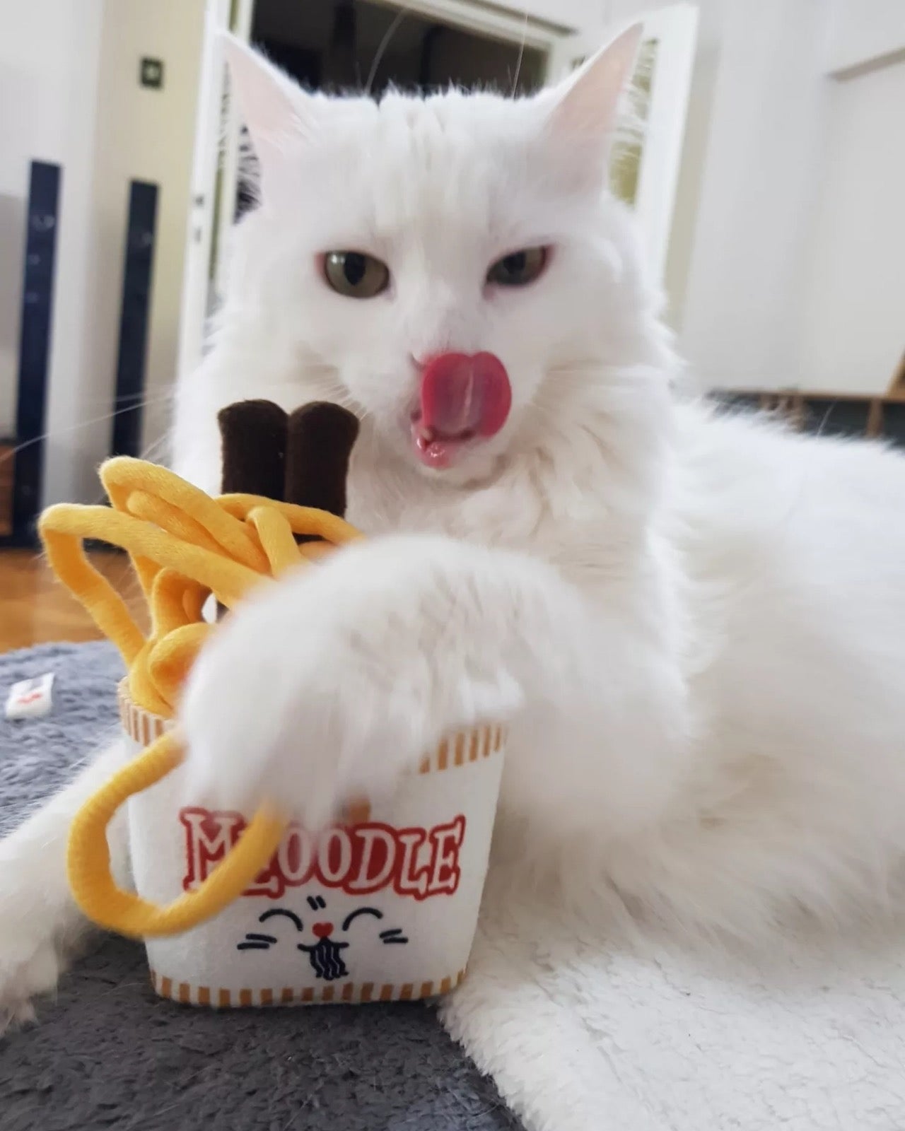 MyMeow - Meoodle Cat Toy