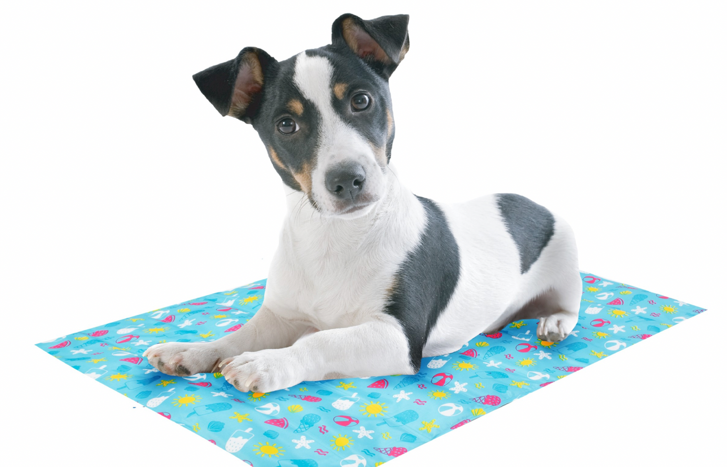 Smart Choice - Pet Cooling Mat / Medium