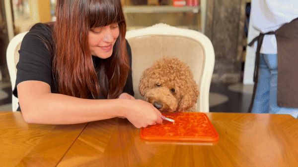 WufWuf & MyMeow TreatMate: An Eco-Friendly Treat Mat for Pets