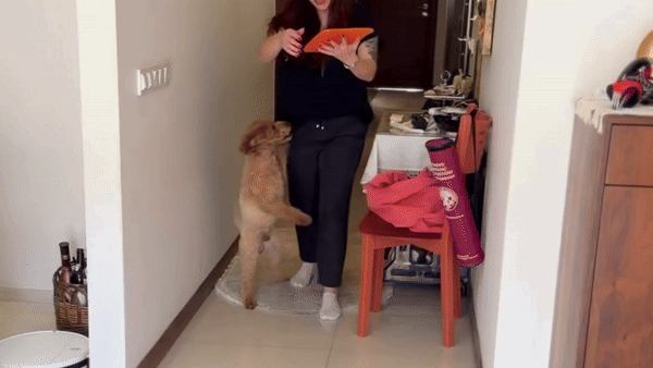 WufWuf & MyMeow TreatMate: An Eco-Friendly Treat Mat for Pets