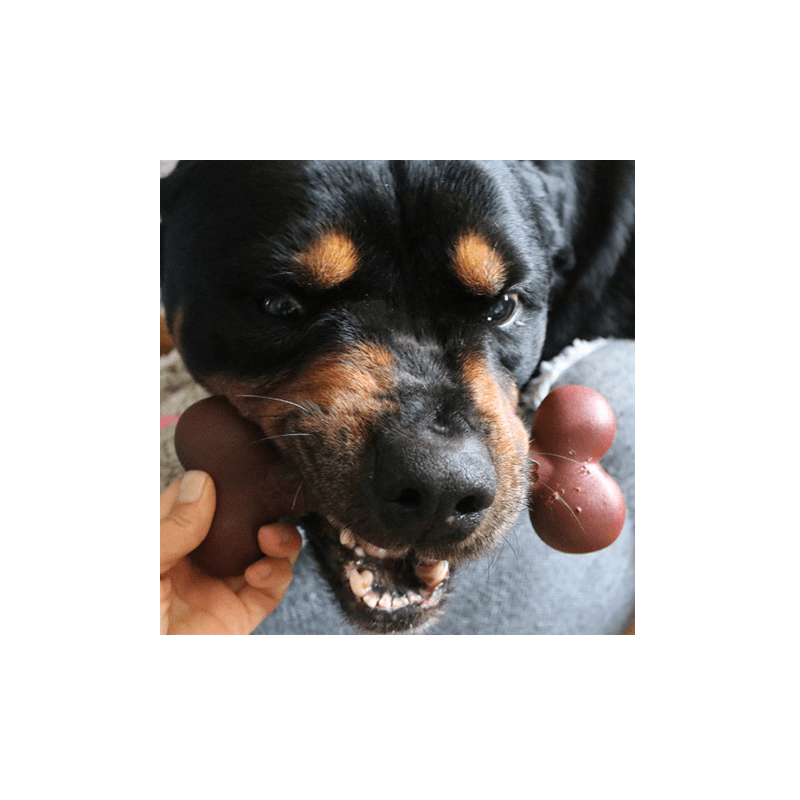 Rosewood - Tough Toy Nylon Dog Chew / Large