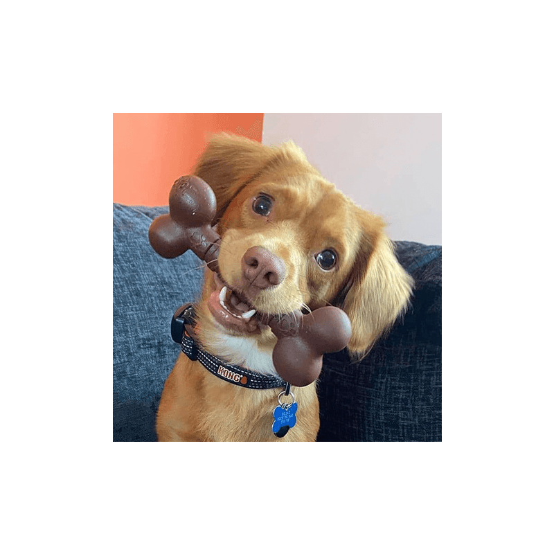 Rosewood - Tough Toy Nylon Dog Chew / Large