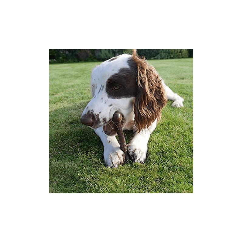 Rosewood - Tough Toy Nylon Dog Chew / Large